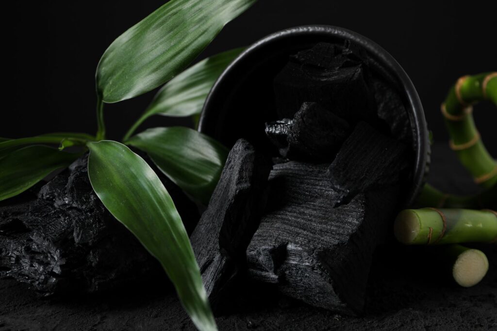 charcoal-pieces-with-green-bamboo-on-dark-backgrou-